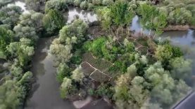 Diyarbakır'da uyuşturucu operasyonu: Yüklü miktarda Hint keneviri ele geçirildi