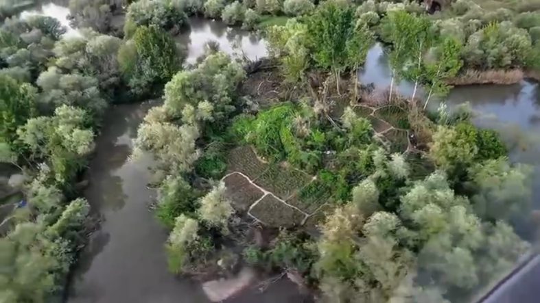 Diyarbakır'da uyuşturucu operasyonu: Yüklü miktarda Hint keneviri ele geçirildi