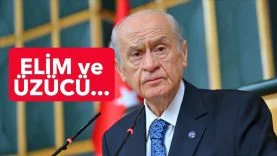 BAHÇELİ2