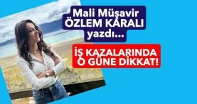 WhatsApp Image 2026-02-05 at 22.46.44