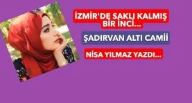 WhatsApp Image 2026-02-12 at 23.18.11