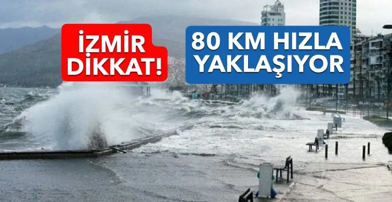 fır