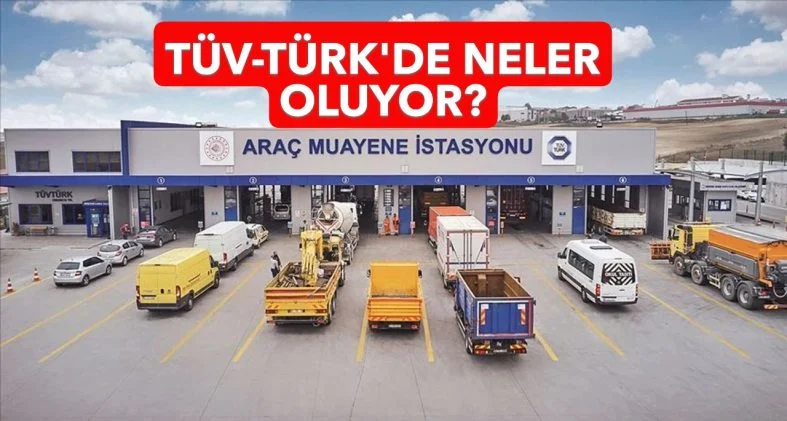 thumbs-b-c-5d6de9e2e98e30679d22deb380ffb813