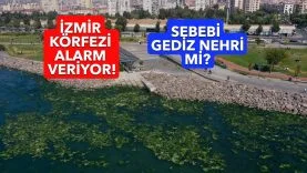 20211011_2_50384870_69531524_Web