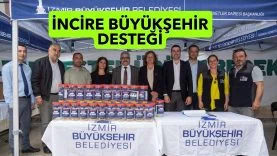 İNÇ3