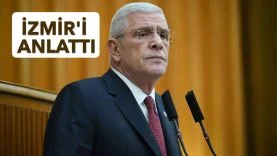 dmdi