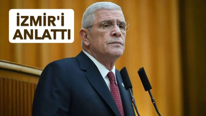 dmdi