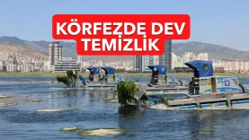 BDİ