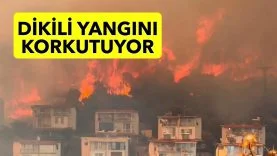 Dİ
