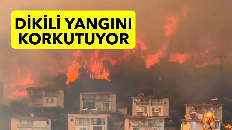 Dİ