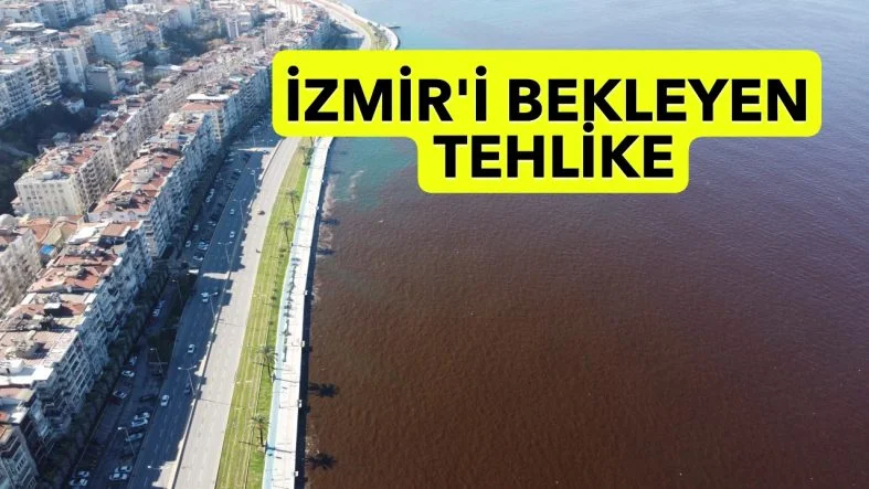 KÖRFEZ