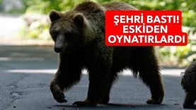 AYICAN