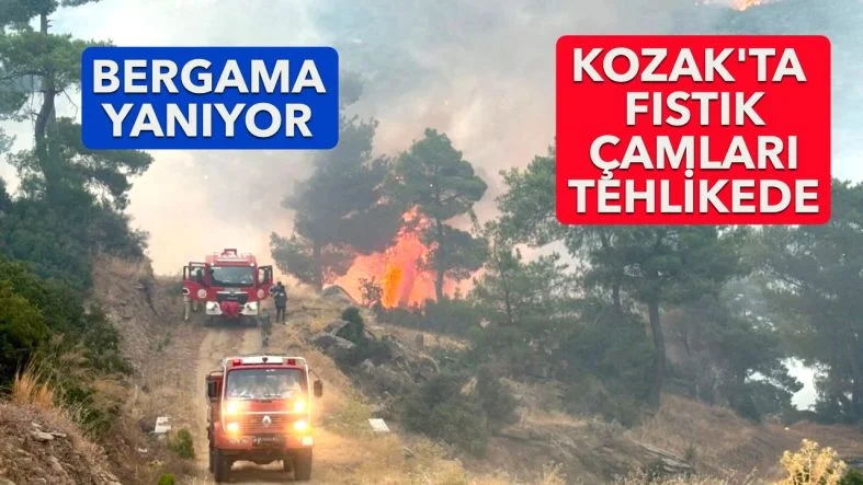 KOZAK