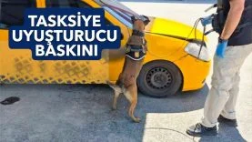TAXI