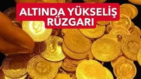 9f308c43-1bd6-4339-8469-1267d870f806
