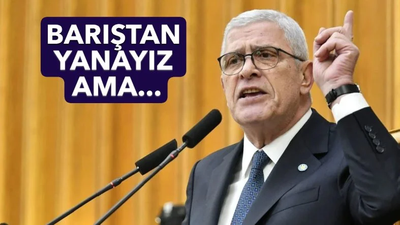 BARIŞTAN YANAYIZ, TÜRKİYE TEK DEVLETTİR!