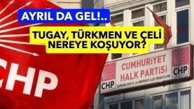 GKO