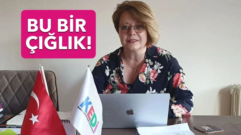 SDMOKJ