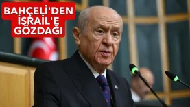 bahceli-2435166-1