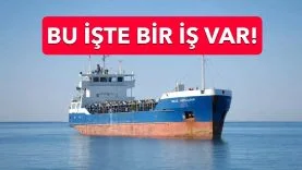 Ş